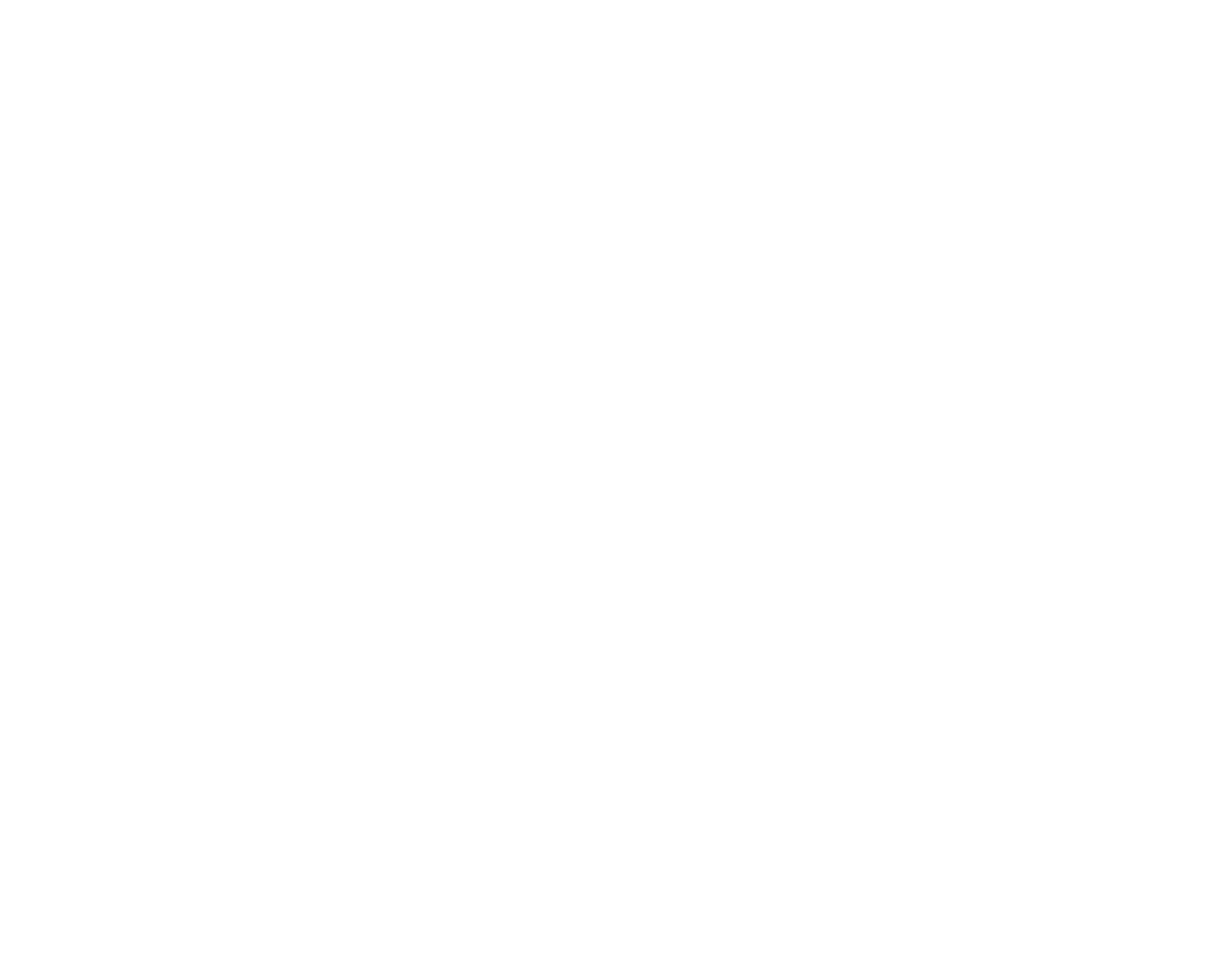 BmCargo Logo